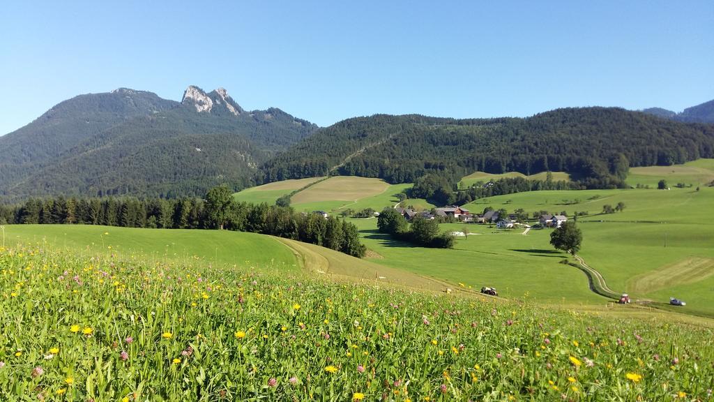 Weinbachbauer - Urlaub Am Bauernhof Villa Sankt Wolfgang im Salzkammergut Exterior photo